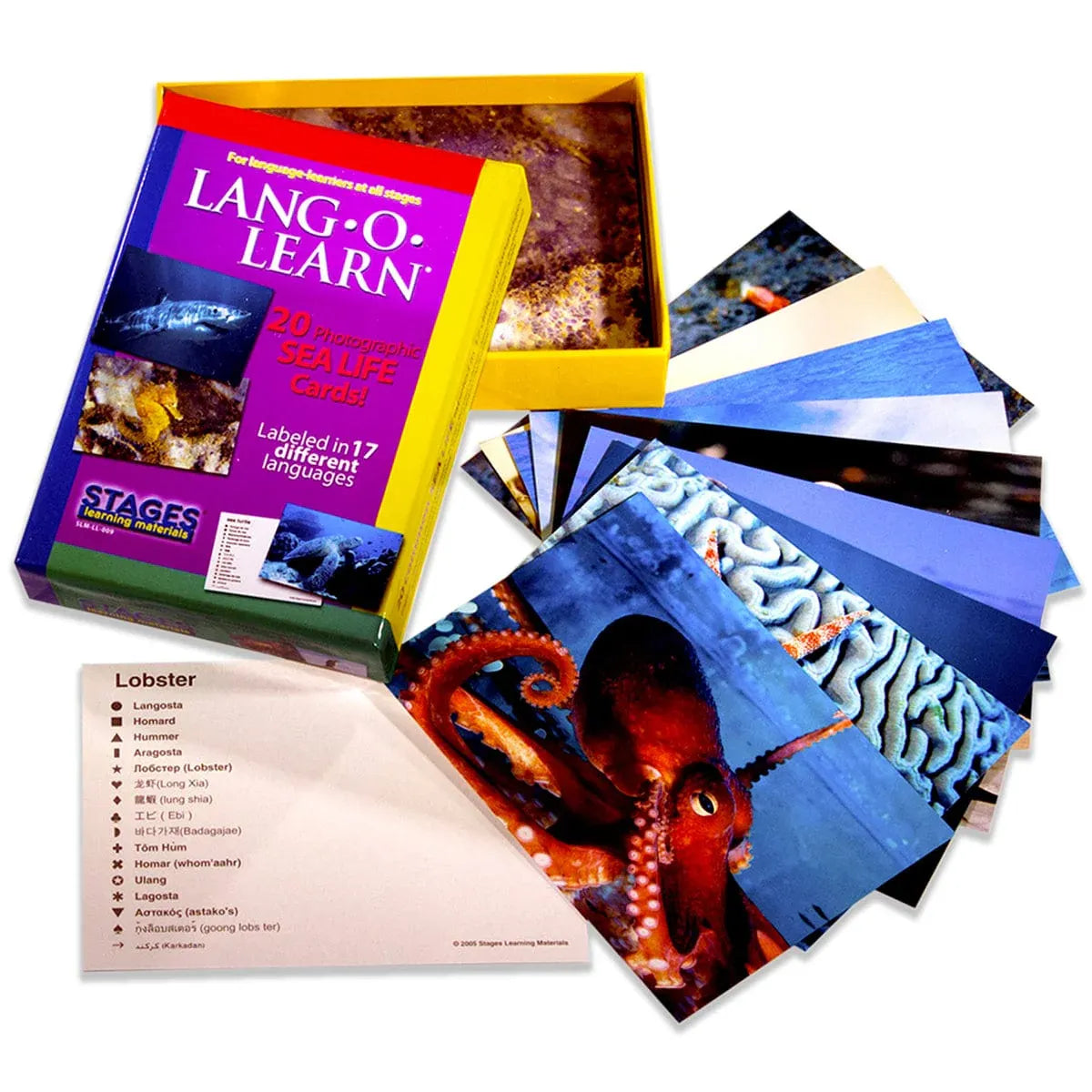 Lang O Learn: Sea Life