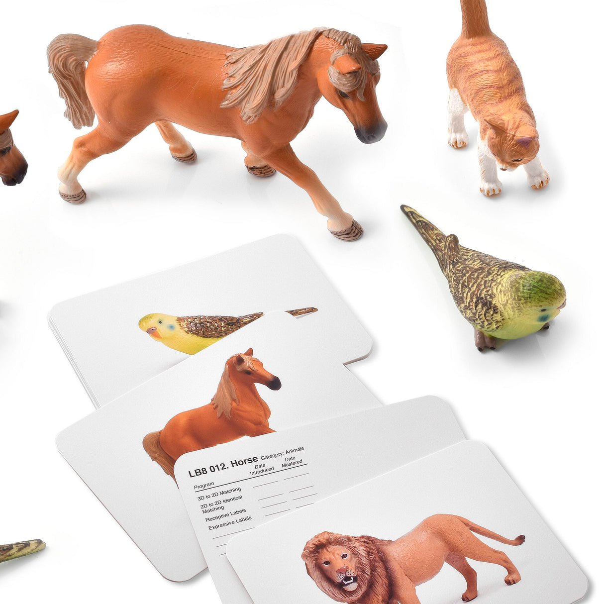Language Builder 3D-2D Animal Matching Kit