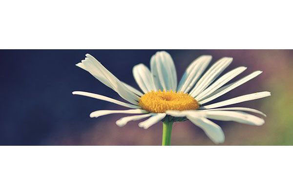 Six Special Needs Activities Perfect for Spring