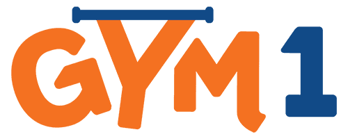 Gym1 Indoor Playsets & Fitness Equipment for Kids