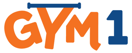 Gym1 Indoor Playsets & Fitness Equipment for Kids
