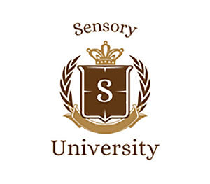 Sensory University Sensory Tools & Learning Aids | eSpecial Needs