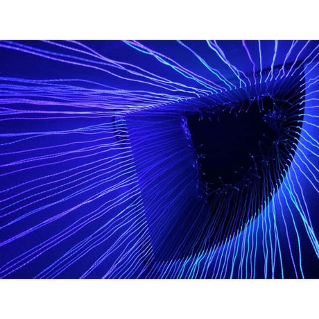 Sensory Fiber Optic Corner Shower