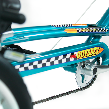 Freedom Concepts ASR2011 Adaptive Tricycle for Teens & Adults