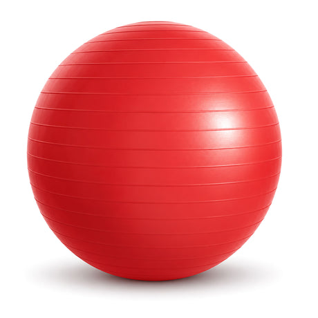 Inflatable Therapy Balls