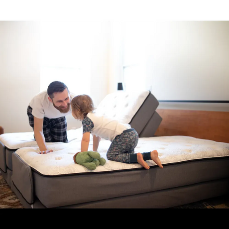 Flex-A-Bed Premier Bed