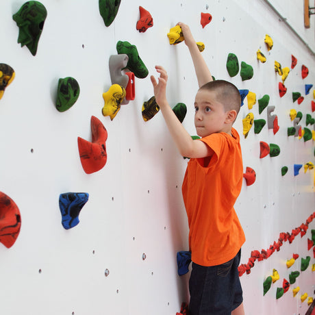 Adaptive Climbing Wall