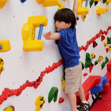 Adaptive Climbing Wall
