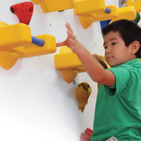 Adaptive Climbing Wall
