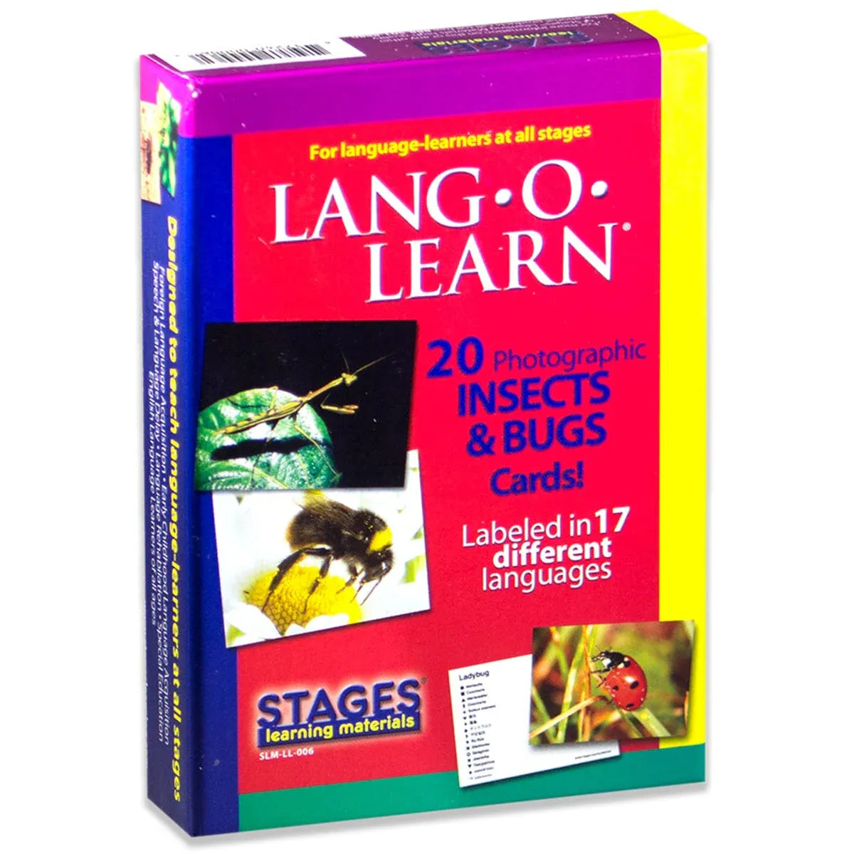 Lang O Learn: Insect and Bug Cards