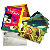 Lang O Learn: Insect and Bug Cards