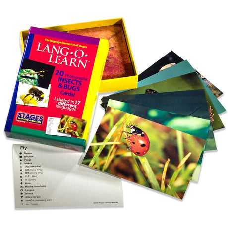 Lang O Learn: Insect and Bug Cards