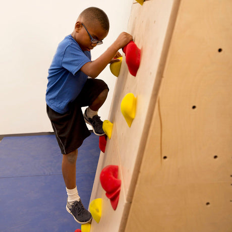 Climb-Able Wall - Beginners Climbing Wall