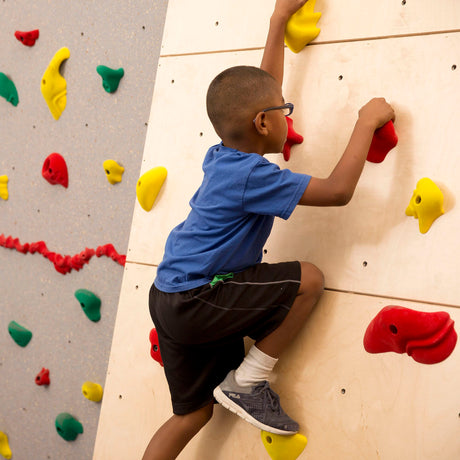 Climb-Able Wall - Beginners Climbing Wall