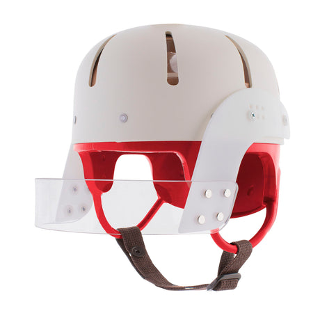 Danmar Hard Shell Helmet with Face Bar