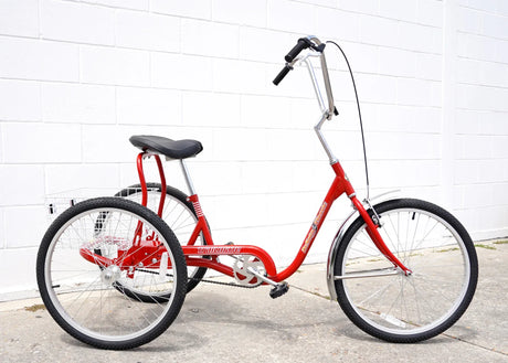 Trailmate DeSoto Classic Adaptive Trike - 26in Wheel