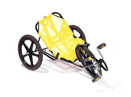 Fun Cycle Jr. Low Profile Adaptive Tricycle