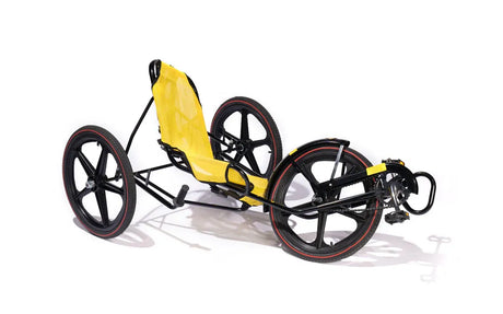 Fun Cycle Jr. Low Profile Adaptive Tricycle