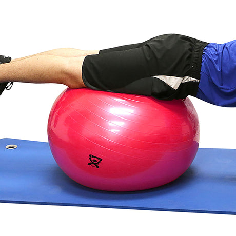 Inflatable Therapy Balls