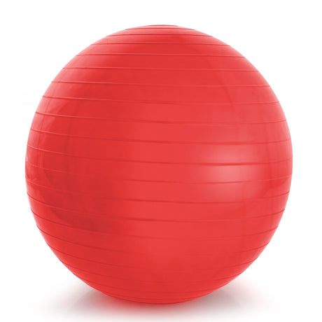 Inflatable Therapy Balls