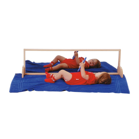 Convertible Acrylic Mirror