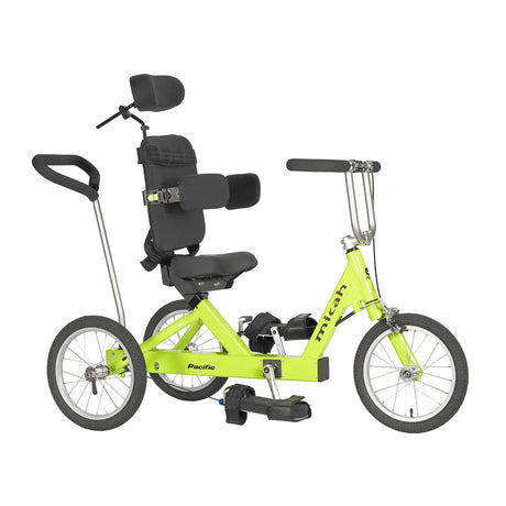 Worksman Micah Adult Tricycle – Stable 3-Wheel Bike for Safe Recreational Riding