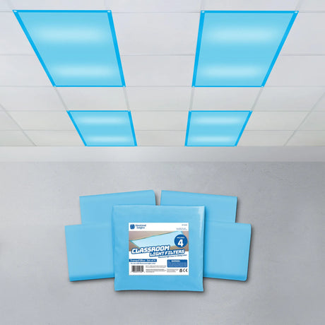 Classroom Fluorescent Light Filter Covers