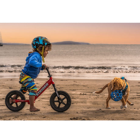 Strider 12 Sport Balance Bike - Adjustable Lightweight Training Bike for Toddlers