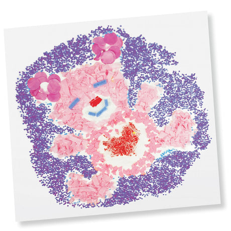 Sensory Collage Kit