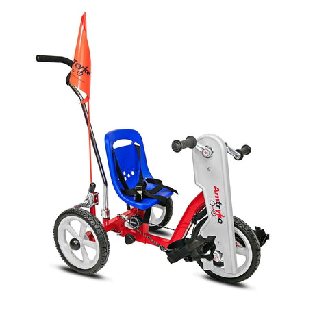 AmTryke AM-10 Hand & Foot Therapeutic Tricycle