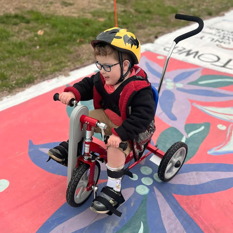 AmTryke AM-10 Hand & Foot Therapeutic Tricycle