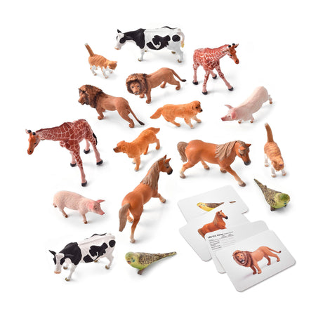 Language Builder 3D-2D Animal Matching Kit