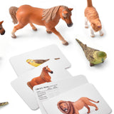 Language Builder 3D-2D Animal Matching Kit