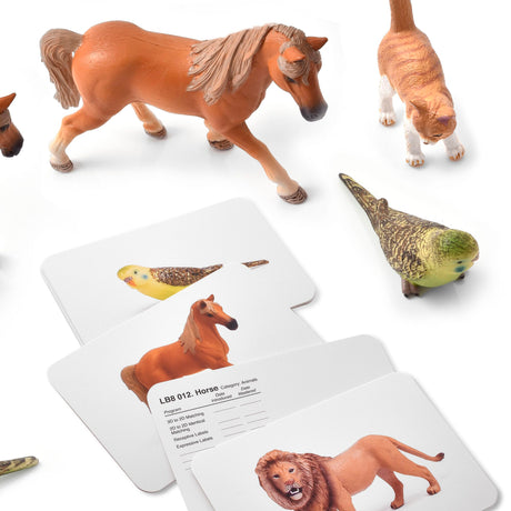 Language Builder 3D-2D Animal Matching Kit