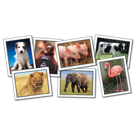 Favorite Animals Language Cards
