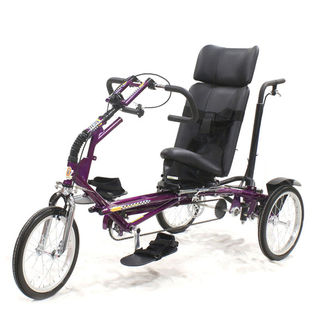 Freedom Concepts ASR16 Special Needs Tricycle