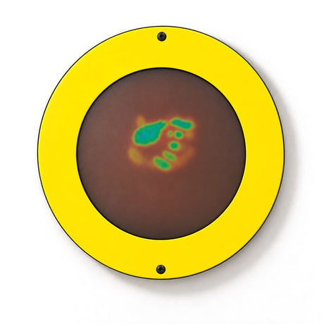 Gressco Magic Circle Wall Activity – Interactive Sensory Wall Panel