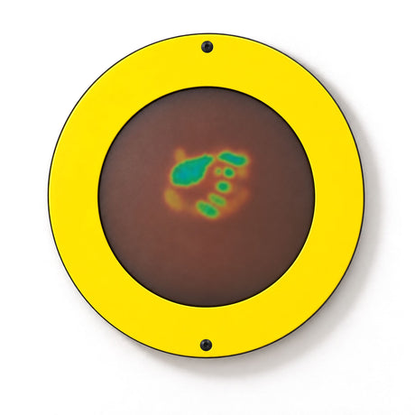 Gressco Magic Circle Wall Activity – Interactive Sensory Wall Panel