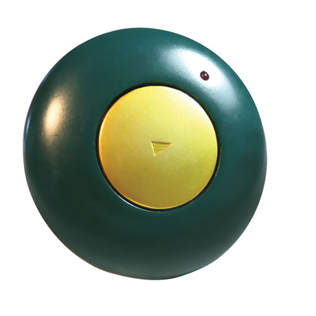 GoTalk Button