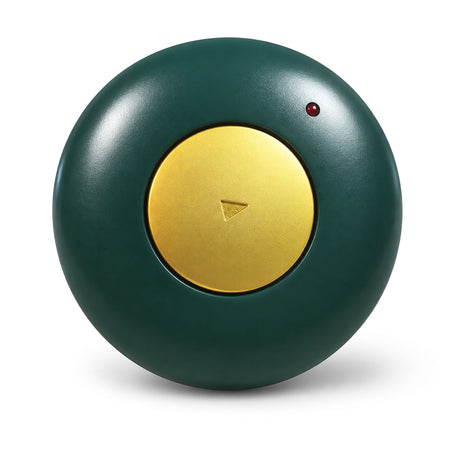 GoTalk Button