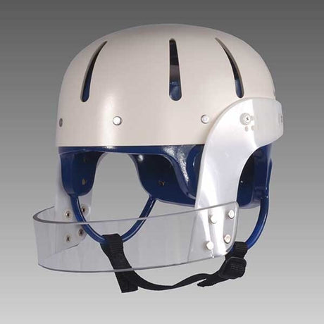 Danmar Hard Shell Helmet with Face Bar