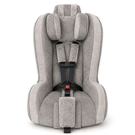 Roosevelt Special Needs Car Seat