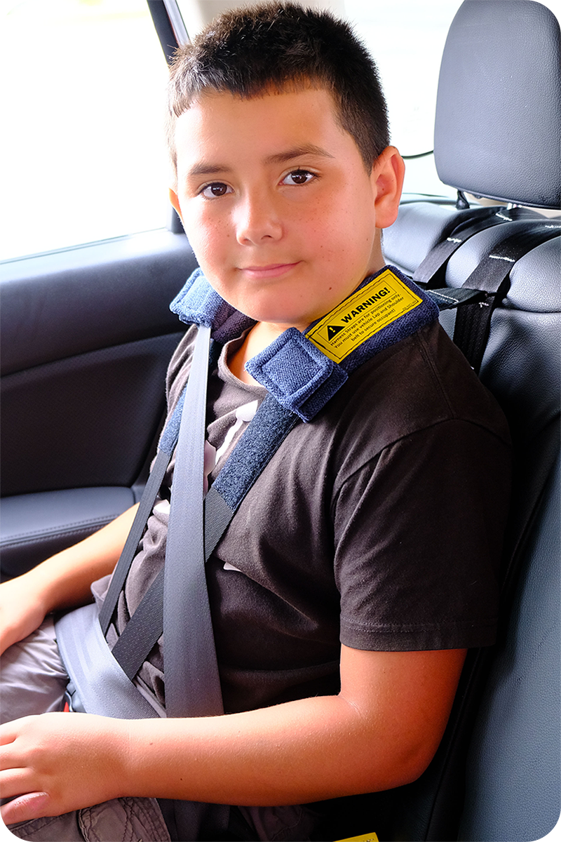 Merritt Churchill Booster Seat with Positioning Harness – eSpecial
