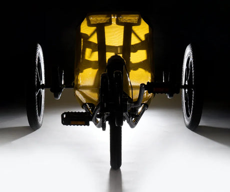Fun Cycle Jr. Low Profile Adaptive Tricycle