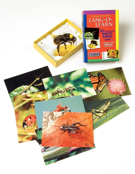 Lang O Learn: Insect and Bug Cards
