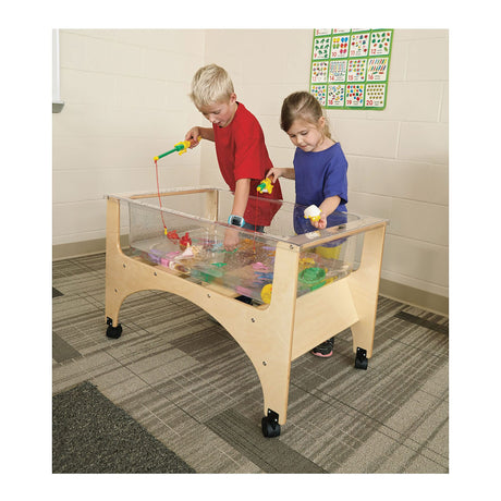 See-Thru Sensory Table
