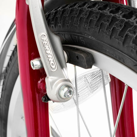 Trailmate DeSoto Classic Adaptive Trike - 20in Wheel