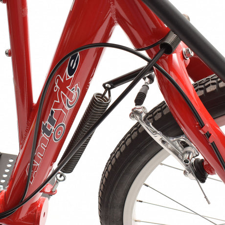 AmTryke 1024 Community Cruiser Therapeutic Hand-Powered Tricycle