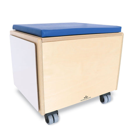 Rolling Seat and Storage Bin