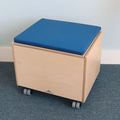 Rolling Seat and Storage Bin